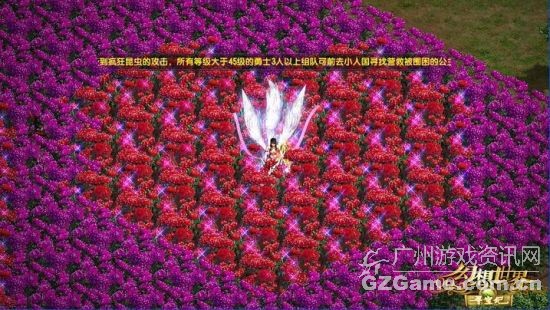玫瑰花 玫瑰花