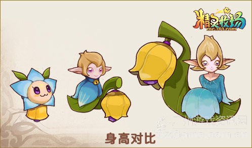 风信子 风信子