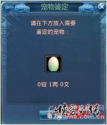 宠物鉴定 宠物鉴定
