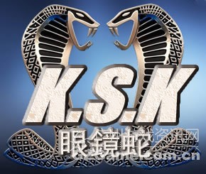 八强对阵图 八强对阵图